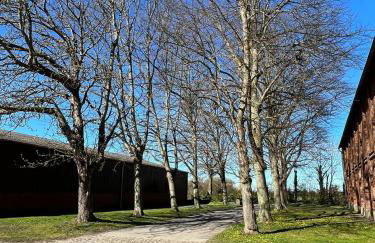 Fehmarnkaten - Foto 10