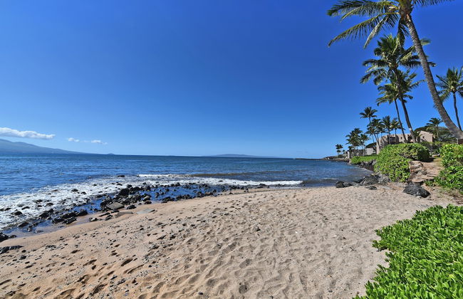 Maalaea Banyans 203 - Foto 40