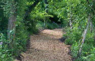 Murphys Law Inn 2 - Foto 19