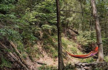 Creek Side Cabin with Wood Fired Hot Tub and Fire Pit - Foto 49