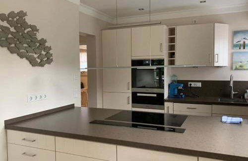 Leo-s-Hues - Photo 12