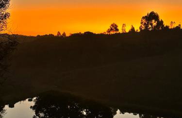 CHALES CAMBARA DA SERRA - Foto 46