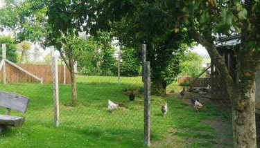 Ferienwohnung am Wasserfall - Foto 3, Garden