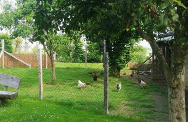 Ferienwohnung am Wasserfall - Foto 3