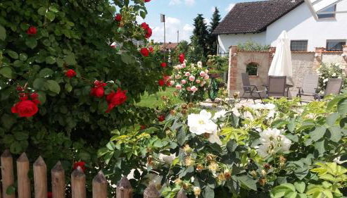 Weberhof - Foto 5, Garden