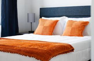 Artistic Loft Rooftop Uptown Montrose Beach GymWFH - Photo 14