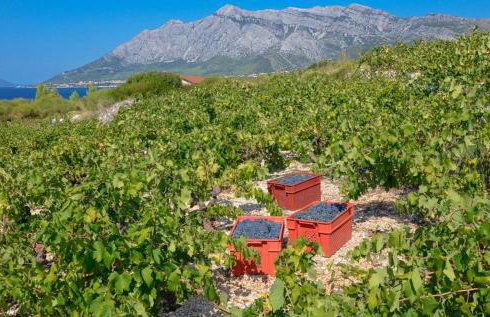 Holiday Home Biserka - Photo 20