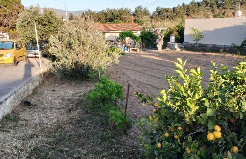 White lilies the house of gourmet flavours - Foto 31