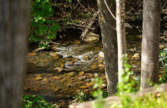 SpiderMan in SNP~FamilyGetaway~Arcade~HotTub~ESVE - Foto 10