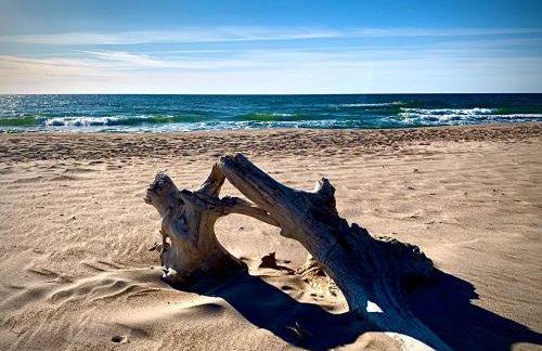 Apartamenty w Marina Royale - Photo 22