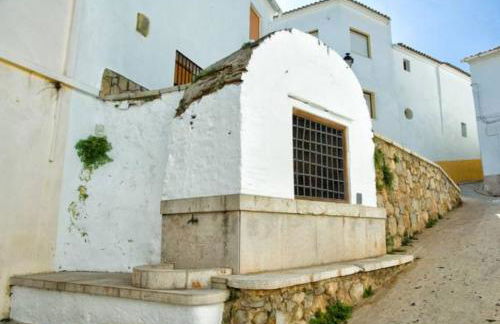 OLIVA HOLIDAYS 1 - Photo 29