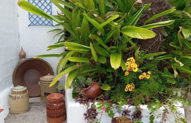 Ribeira da Praia House - Photo 35