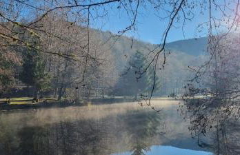 Insolite Chalet de pêche Sérénité - Bien Etre - Foto 37