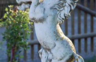 Gestüt Tiefenhof - Foto 10