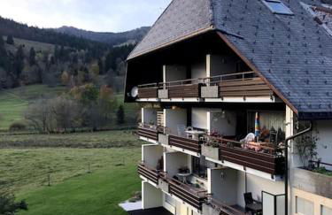 Schwarzwald Loft Menzenschwand - Foto 16