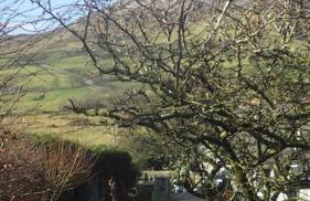 Sea View Pod Close to Mountains / Snowdonia - Foto 12