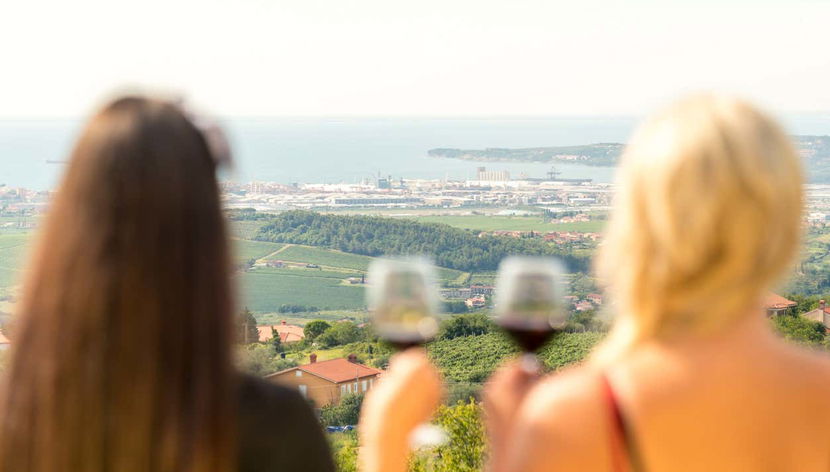 Brindando en Marezige