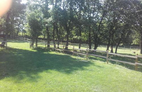 Eco Urbión - Foto 55