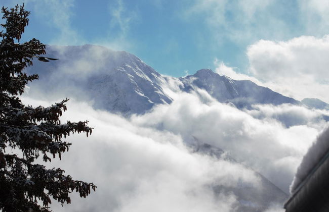 Bärgblüemli 2. OG Ost - Foto 19