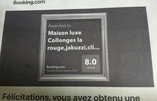 Luxe,piscine,jacuzzi,moulin historique en pierres entièrement rénové - Foto 9