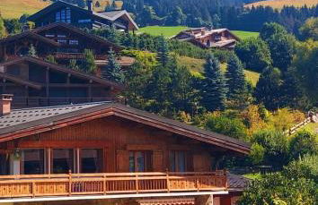 Appartement Mont d'Arbois - Foto 25