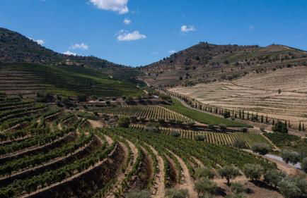 RENT4REST DOURO FAMILY 2BD Apartment - Foto 40