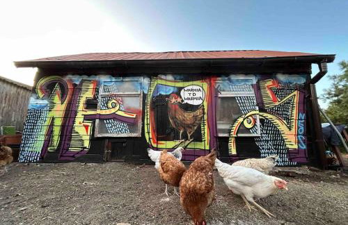 Agroturystyka Willy - Foto 20