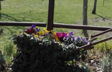 Silos Torrenova - Foto 7