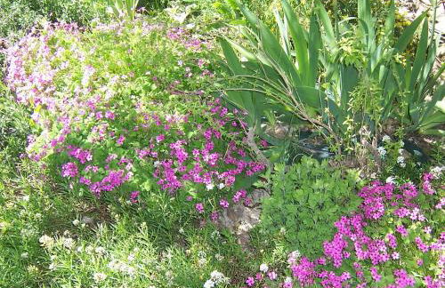 OUSTAOU DU GAYET gîte de charme avec piscine privée - Foto 23