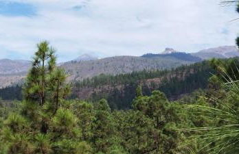 Casas Javier - Foto 12