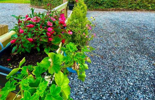 Lime Tree House - Foto 43