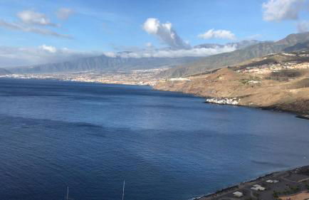 La Casa Verde - Foto 4