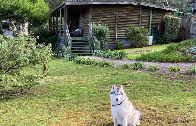 Groovy Log House Lorne Ocean View Log House Pet Friendly Freshly Renovated - Photo 19