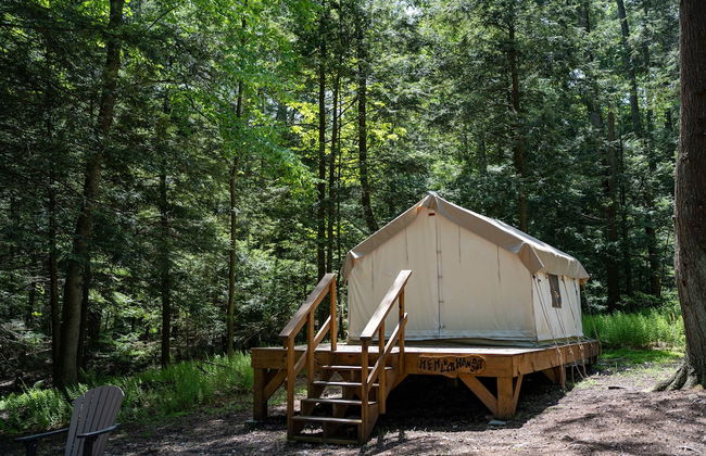 Blue Mountain Resort - Foto 8