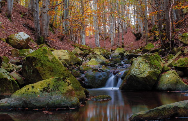 Casa Vacanze La Casala - Foto 23