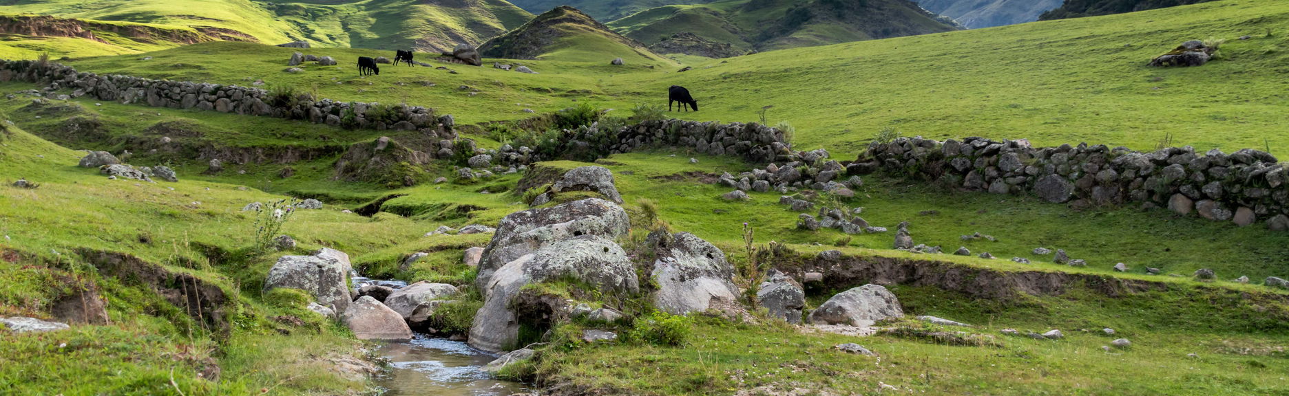 Excursión a Tafí del Valle - Foto 1, Excursión a Tafí del Valle