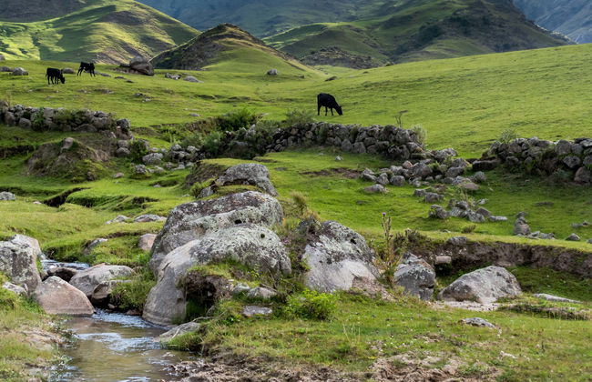 Tafí del Valle Trip - Photo 1