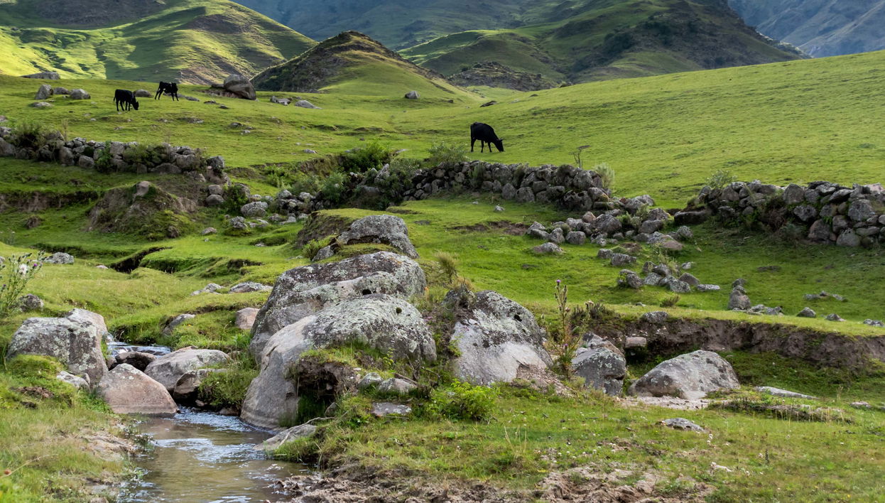 Excursión a Tafí del Valle
