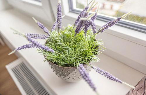 Arbio I Dehnhaide Apartments - Foto 24