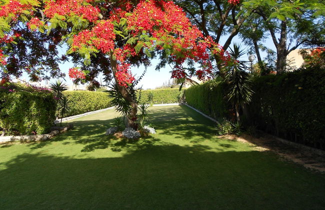 Marina Village North Coast - Photo 23