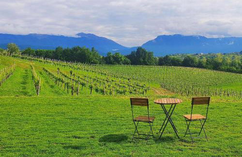 Tenuta Mani Sagge - Foto 9