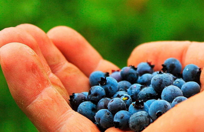 7 Person Holiday Home in Algaras-by Traum - Foto 24