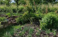 Ruralna kuća za odmor Pozojova hiža - Rural Holiday House - Foto 52