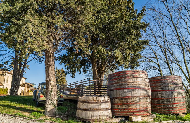 Terra di Gradara - Foto 66