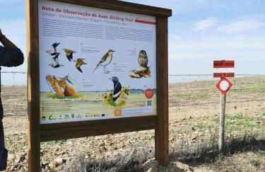 4Bs - Birds & Bicycles - Foto 25