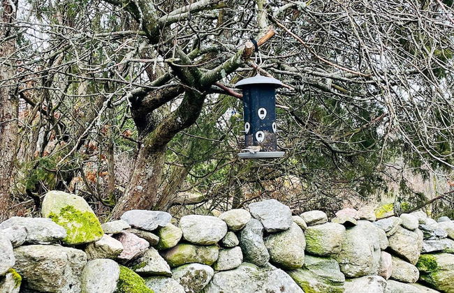 4 Star Holiday Home in Stillingson - Foto 36