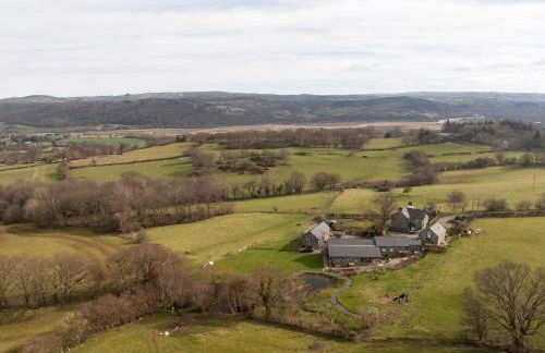 Little-Oak - Foto 26