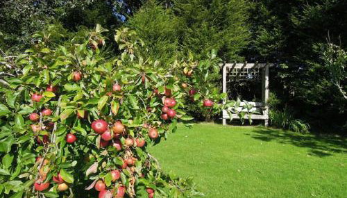 The Cider Barn - Photo 4