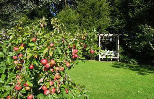 The Cider Barn - Foto 4