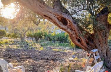 Villa Calcasacco - Foto 13